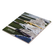 Waterverf Lacrosse Sticks Tegeltje (Zijkant)