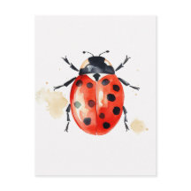 Waterverf Ladybug