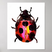 Waterverf Ladybug Poster (Voorkant)