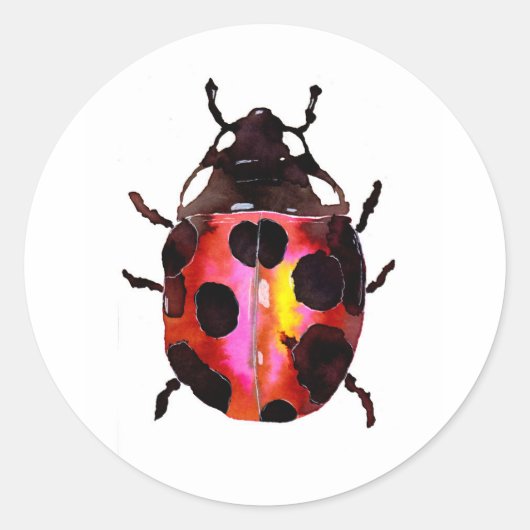 Waterverf Ladybug Ronde Sticker (Voorkant)