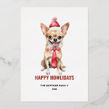 Waterverf Langharige Chihuahua Fijne Hondsdagen