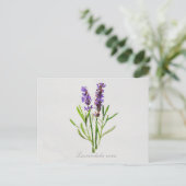 Waterverf Lavandula Vera Briefkaart (Staand voorkant)