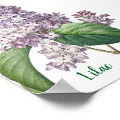 Waterverf Lavendel Sering Illustratie Poster (Hoek)