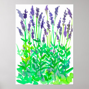 Waterverf lavender Flower Garden Poster
