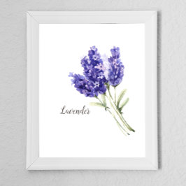 Waterverf Lavender Flowers Poster