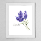 Waterverf Lavender Flowers Poster