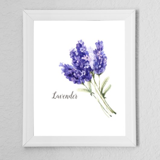 Waterverf Lavender Flowers Poster