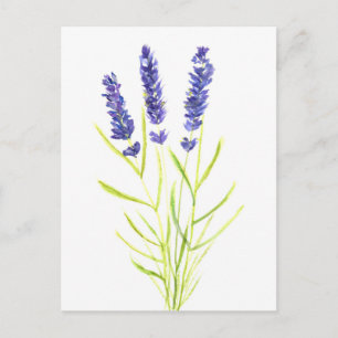 Waterverf lavender herb Lavender-bloemen Briefkaart