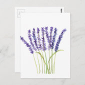 Waterverf lavender, paarse bloemen briefkaart (Voorkant / Achterkant)