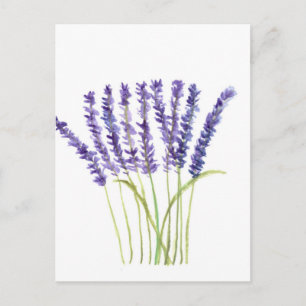 Waterverf lavender, paarse bloemen briefkaart