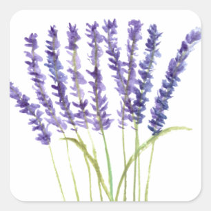 Waterverf lavender, paarse bloemen vierkante sticker