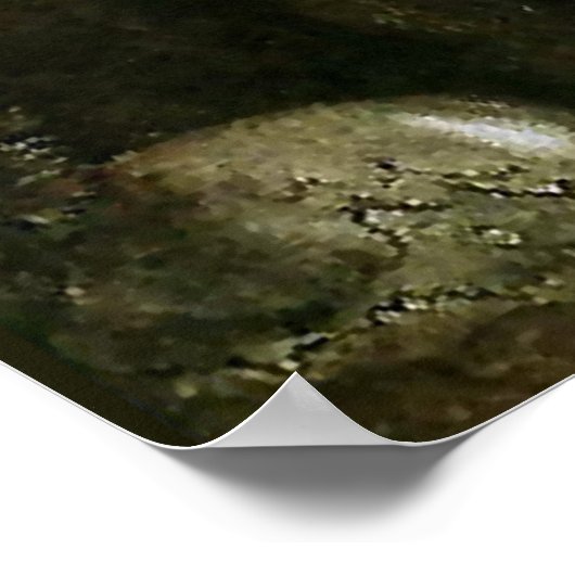 waterverf "Leap the Elk" van John Bauer Poster (Hoek)