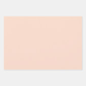 Waterverf Leaves Brown Terracotta Beige Blush Inpakpapier Vel (Voorkant 2)