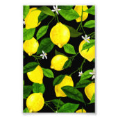 Waterverf Lemon 2 Foto Afdruk (Voorkant)