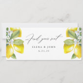 Waterverf Lemon Blossom Hanging Seat Chart Sign. (Voorkant)