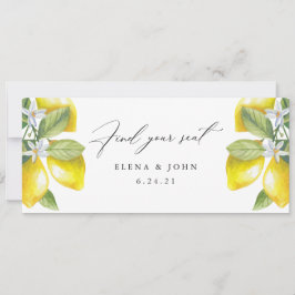 Waterverf Lemon Blossom Hanging Seat Chart Sign.