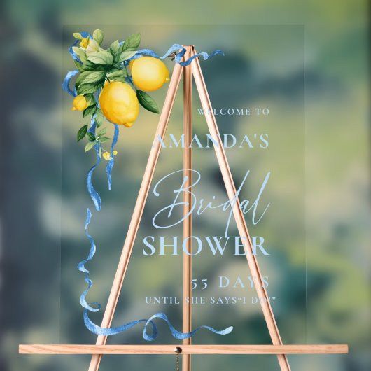Waterverf Lemon Blue Ribbon WELKOM Vrijgezellenfee Acryl Bord (Neutraal)