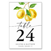 Waterverf Lemon Citrus Kaart (Achterkant)