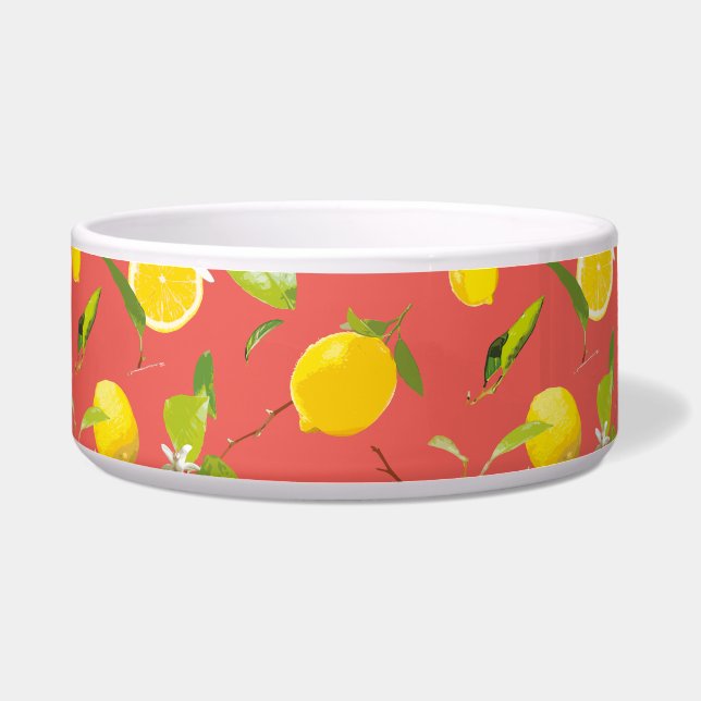 Waterverf Lemon & Leaves 12 Voerbakje (Voorkant)