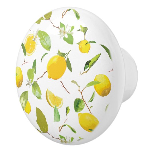 Waterverf Lemon & Leaves 2 Keramische Knop (Rechts)