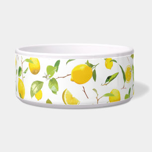 Waterverf Lemon & Leaves 2 Voerbakje