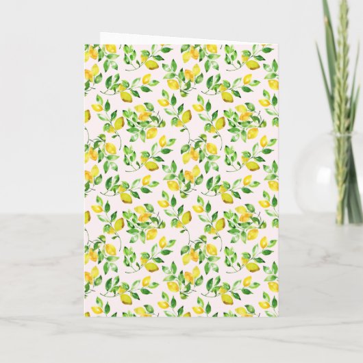 Waterverf Lemon Mediterranean Folded Programma (Achterkant)