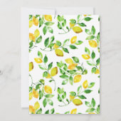 Waterverf lemon - middellandse zee kaart (Achterkant)