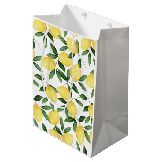 WATERVERF LEMONS MEDIUM CADEAUZAKJE (Voorkant Gekanteld)