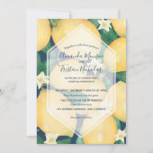 Waterverf Lemons over marineverbindingen (Voorkant)