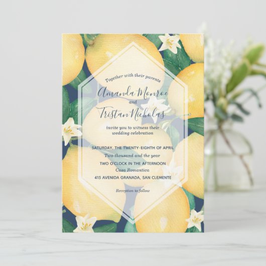 Waterverf Lemons over marineverbindingen (Staand voorkant)