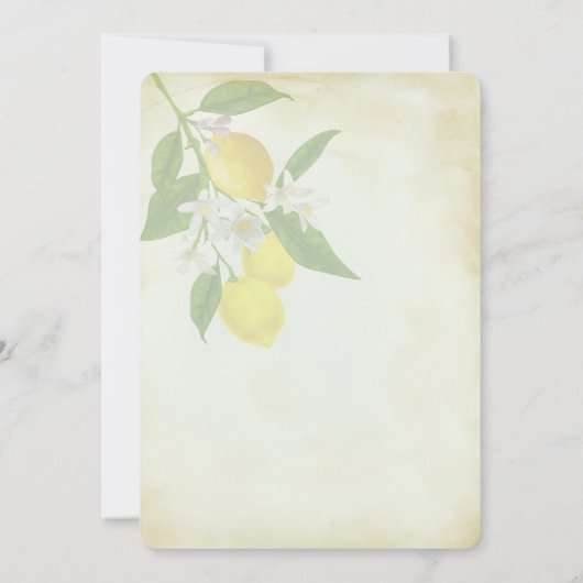 Waterverf Lemons sparen de Datum Save The Date (Achterkant)