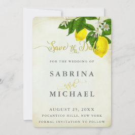 Waterverf Lemons sparen de Datum Save The Date