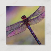Waterverf-libellen of libellules in het Frans Vierkante Visitekaartje (Voorkant)
