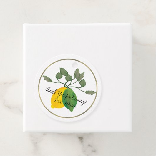 Waterverf Limoncillo Citroen Limoen Folie Cirkelvo Bedankjes Labels (In situ)