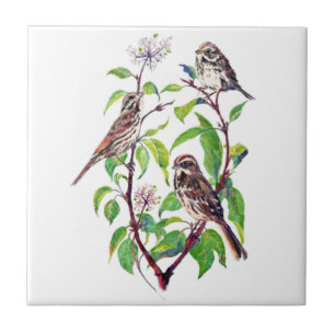 Waterverf Little Bird in Dogwood Tree Bird Art Tegeltje