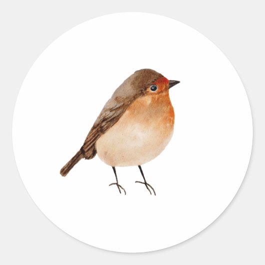 Waterverf Little Bird | Robin Minimalist Ronde Sticker (Voorkant)