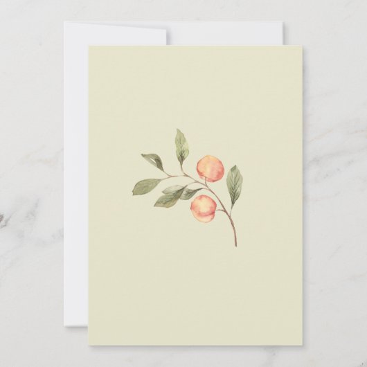 Waterverf Little Peach Baby shower InvInvitation Kaart (Achterkant)