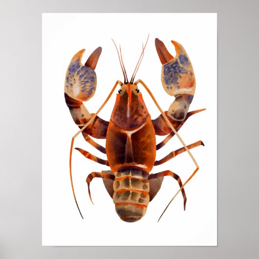 Waterverf Lobster Crustaceancore Poster (Voorkant)