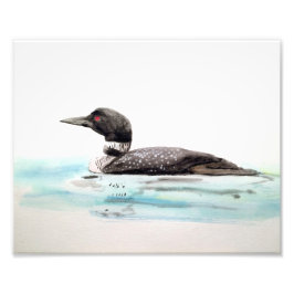 Waterverf Loon Art Foto Afdruk