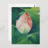 Waterverf Lotus Briefkaart (Voorkant / Achterkant)