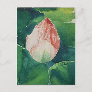 Waterverf Lotus Briefkaart