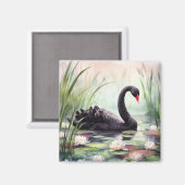 Waterverf Lotus Flowers Black Swan Magneet (Voorkant / Achterkant)