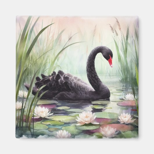 Waterverf Lotus Flowers Black Swan Magneet (Voorkant)