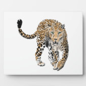 waterverf luipaard junglekat geschilderd dier groe fotoplaat (Voorkant)