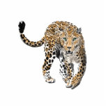 waterverf luipaard oerwoud kat geschilderd diereng fotobeeldje ornament<br><div class="desc">Waterverf schilderij van een luipaard...  mijn geestdier!</div>