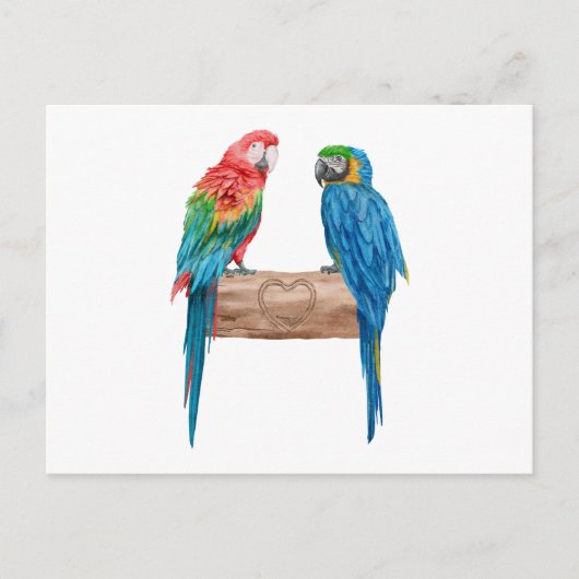 Waterverf Macaw Bird Parrot Lover Uitnodiging Briefkaart (Voorkant)