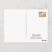 Waterverf Magnolia Blooming door E. Mashkina Briefkaart (Achterkant)