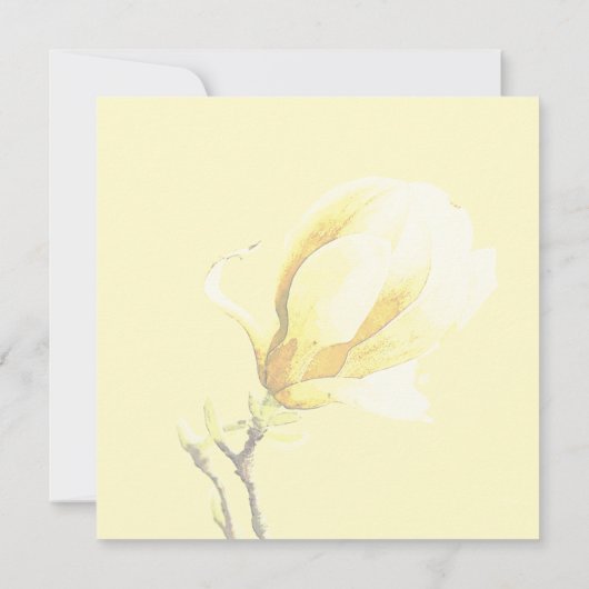 Waterverf Magnolia Blossom Calligrafie Hartelijk d Bedankkaart (Achterkant)