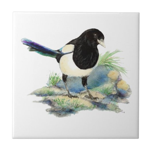 Waterverf Magpie Bird kijkt naar je Tegeltje (Voorkant)