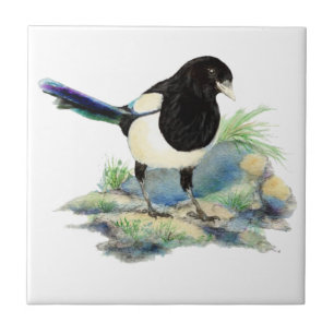 Waterverf Magpie Bird Wildlife Art Tegeltje